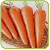 Морковь (профпакет)