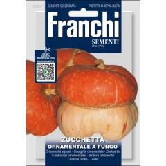 Тыква декоративная А Фунго /2 г/ *Franchi Sementi*