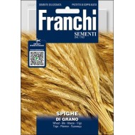 Декоративные злаки Пер Спиге Орнаментале /10 г/ *Franchi Sementi*