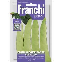 Фасоль Смеральдо /30 г/ *Franchi Sementi*