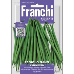 Фасоль Вангуард /40 г/ *Franchi Sementi*