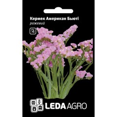 Кермек Американ Бьюти /0,15 г/ *LedaAgro*