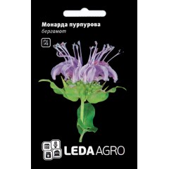 Монарда пурпурная Бергамот /0,3 г/ *LedaAgro*