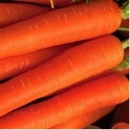 Морковь Берлика F1 /50.000 семян/ *Moravoseed*