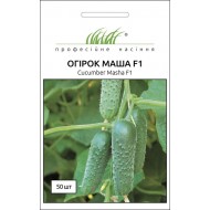 Огурец Маша F1 /50 семян/ *Профессиональные семена*
