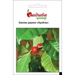 Кофейное дерево Арабика /5 семян/ *Садыба*