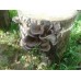 Технология выращивания грибов на древесине